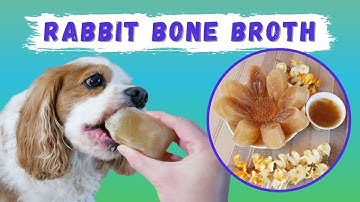 Bone Broth for Dogs Recipe (Rabbit Bone Broth) | Bone Broth for Dogs Frozen