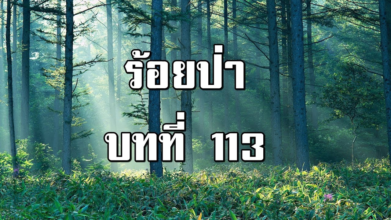 ร้อยป่า บทที่ 113 ประสบการณ์ใหม่ของเสือ | สองยาม