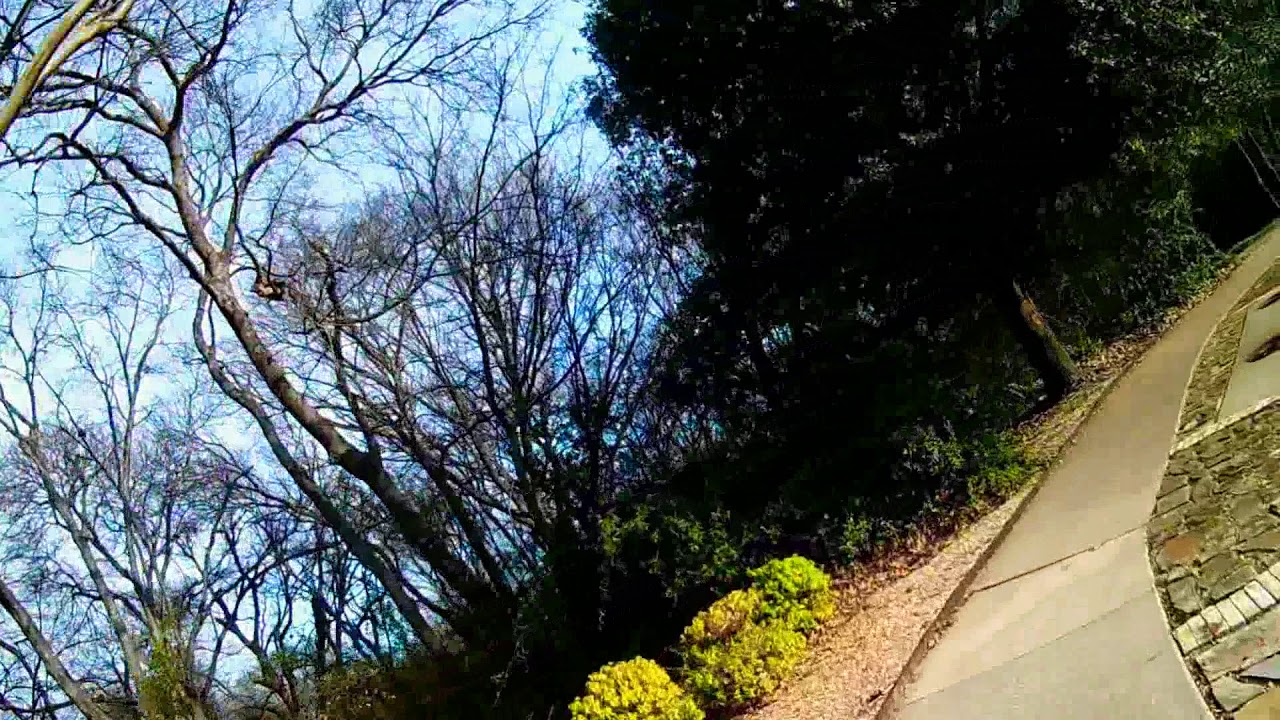 The trail at the woods bike ride