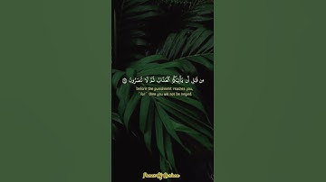 مقطع جميل للشيخ ماهر المعيقلي من سورة الزمر.#fypシviralシ2025 #fypviralシislam