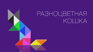 Разноцветная кошка.