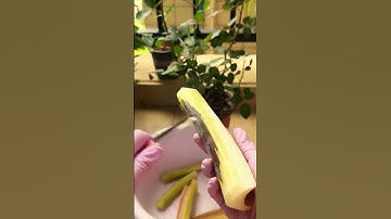 technique for peeling taro stems using simple tools #shorts