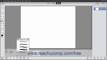 Photoshop Elements 2020 Tutorial Using the Brush Preset Picker Adobe Training