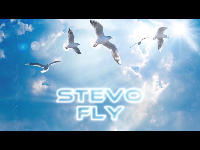 Watch Stevo - FLY (Official Video) on YouTube Watch Stevo - FLY (Official Video) on YouTube