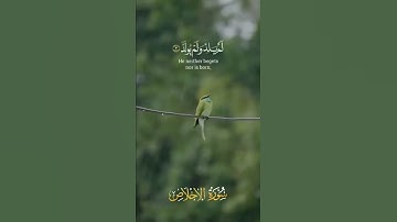 ارح مسمعك قران كريم بصوت القارئ الشيخ سعد الغامدي  #روائع_إسلامية #روائع_إسلامية #روائع_إسلامية