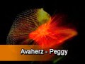 Avaherz  peggy