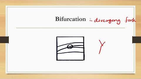 Fingerprint - Ridge Characteristics