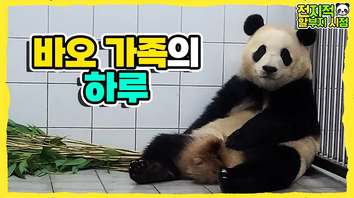 (SUB) Cooking Handmade Snack for Baby Panda│Panda Family🐼
