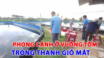 Review van garnalenkwekerijen gemaakt van zeildoek | Een zeer interessante dag waarin ik het leve...