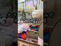 気持ちいいGETシーン21連発 #クレーンゲーム #ufoキャッチャー # ゲーセン #ゲームセンター #arcade