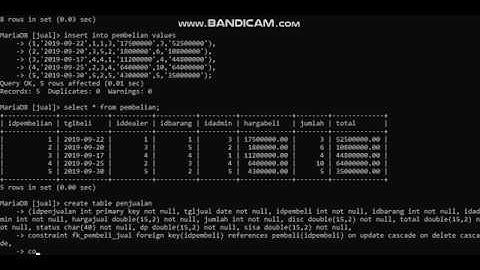 Database using MariaDB, Mysql on Xampp
