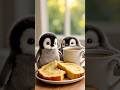 The little penguin who shares #cute #adoreble #littlepenguins #petlovers #penguin #funny