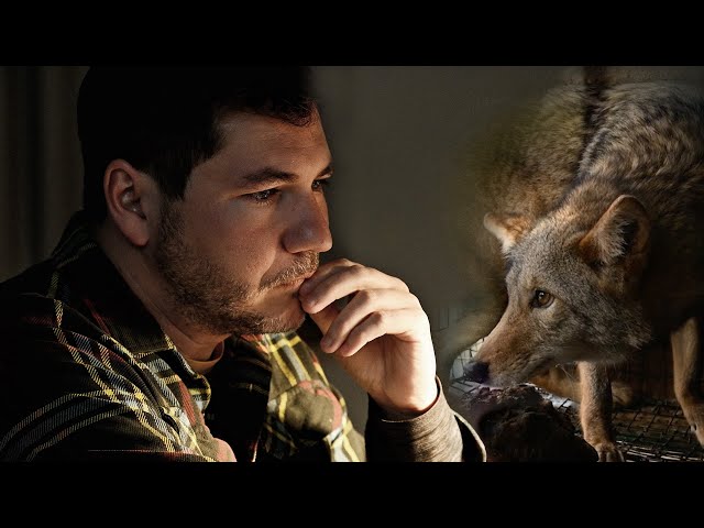 TRAILER: Behind the Coat & Rose