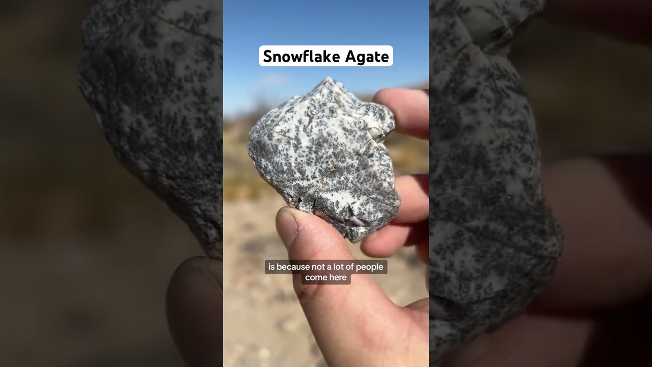 Snowflake Agate #rockhound #rockhounding #crystals #gemstones #agate #geology #snowflake #geode #ca