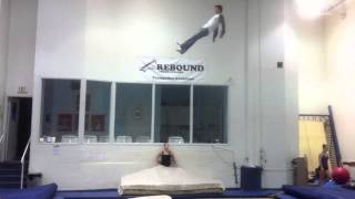 Quad Toilet Bowl-Gregory V Roe