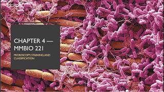 Chapter 4 Review | Mmbio 221