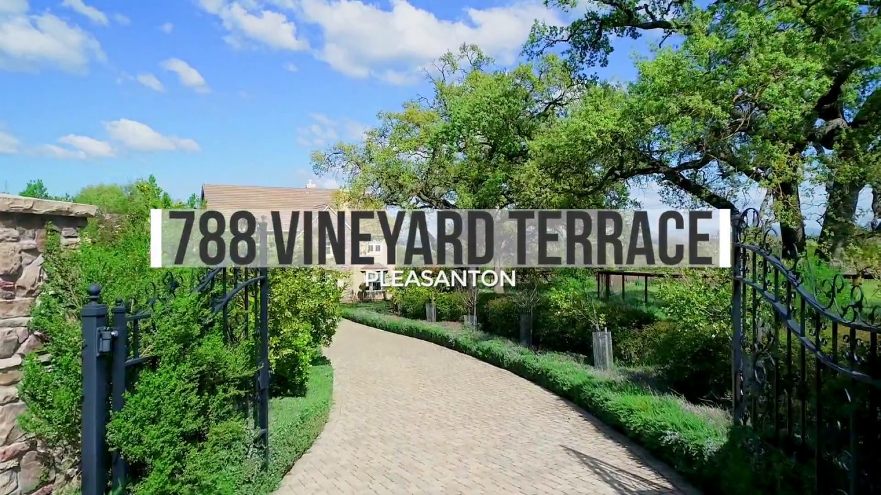 788 Vineyard Terrace, Pleasanton, CA 94566 YouTube