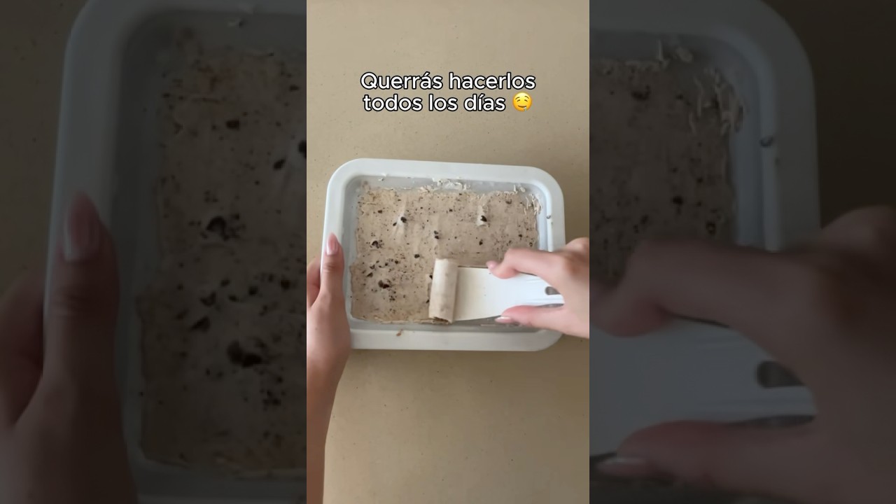 Si te encanta el helado necesitas esta plancha 😋 