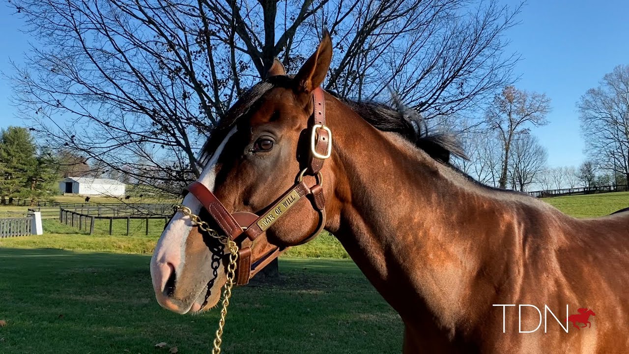 Algorithms: Claiborne Farm