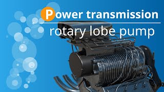 What is a rotary lobe pump and how does it work? (Roots-type supercharger simply explained)