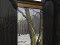 Как подбирать тёплый и холодный цвет в живописи. Цветовой круг, shorts.