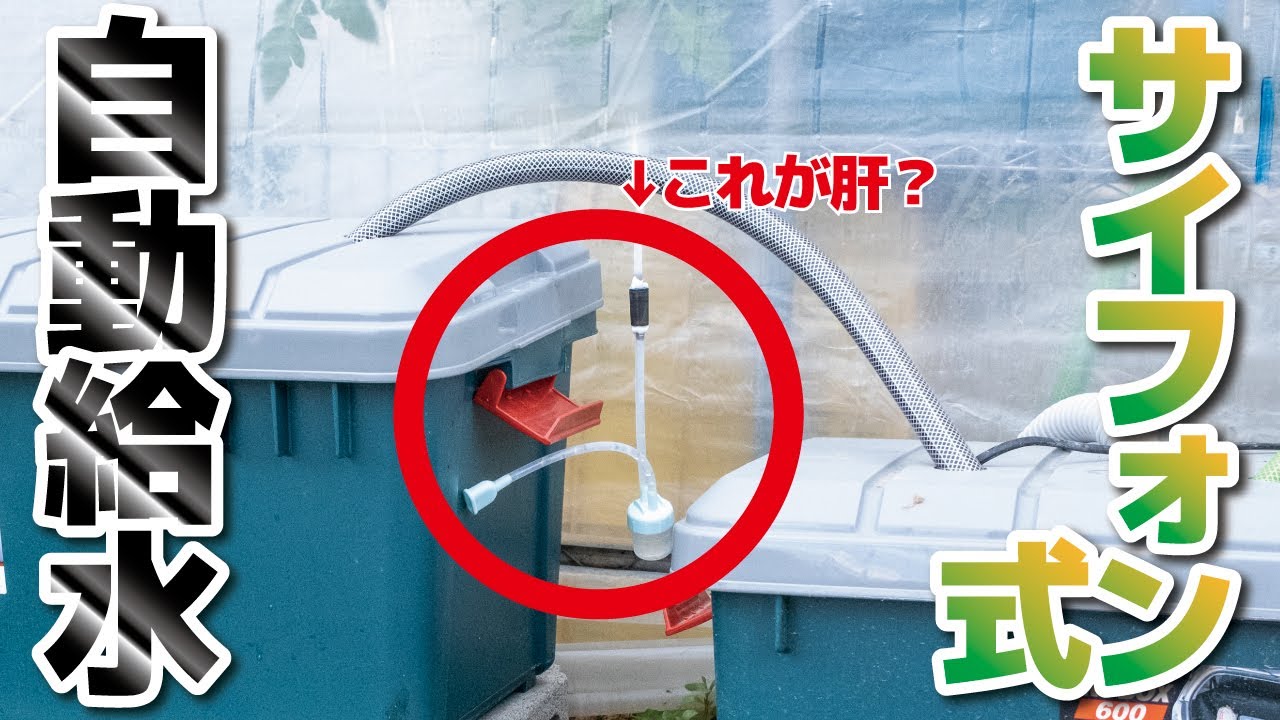 Semi-automatic water supply based on the siphon principle. - YouTube Semi-automatic water supply based on the siphon principle. - YouTube