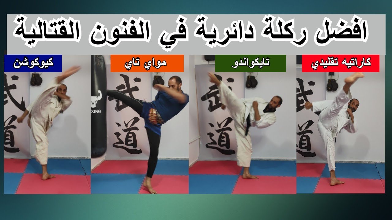 ما هي افضل ركلة دائرية في الفنون القتالية | كاراتيه - تايكواندو - مواي تاي - كيوكوشن