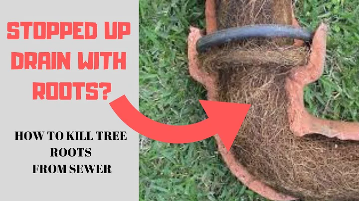 Destrua raízes de árvores em seu encanamento com Zep Root Kill