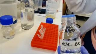 A week in the life of a plant scientist