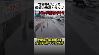世界がビビった愛媛の国道トラップ