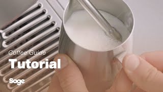 The Barista Pro How To Manually Texture Milk Just Like A Barista Sage Appliances Uk