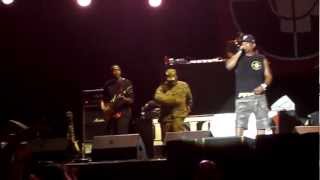 Public Enemy premieres new song "I Shall Not Be Moved" on Open'er Festival 2012