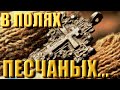 ПО ПЕСЧАНЫМ ПОЛЯМ. Коп с X-Terra 705