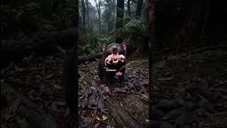 Un animal que come a sus crías 😱#animales #datoscurisos #datospertubadores #wildlifeshorts