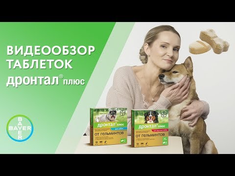 Видео: Какое лечение я могу использовать на кошке, чтобы исцелить кусочек?