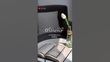 تلاوة خاشعة من سورة الكهف القارى إسلام صبحي 🎧❤️‍🩹 #أرح_سمعك_وقلبك #اكسبلور #اسلام_صبحي #طمئن_قلبك