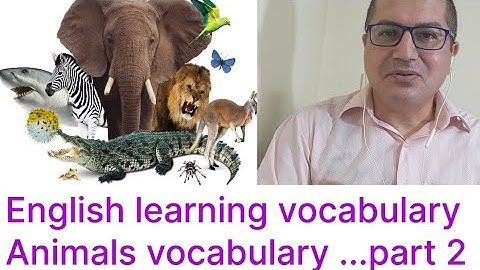 Connect plus 1 unit 9 lesson 1 video 2