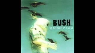 In Defense Ofbush  The Science Of Things