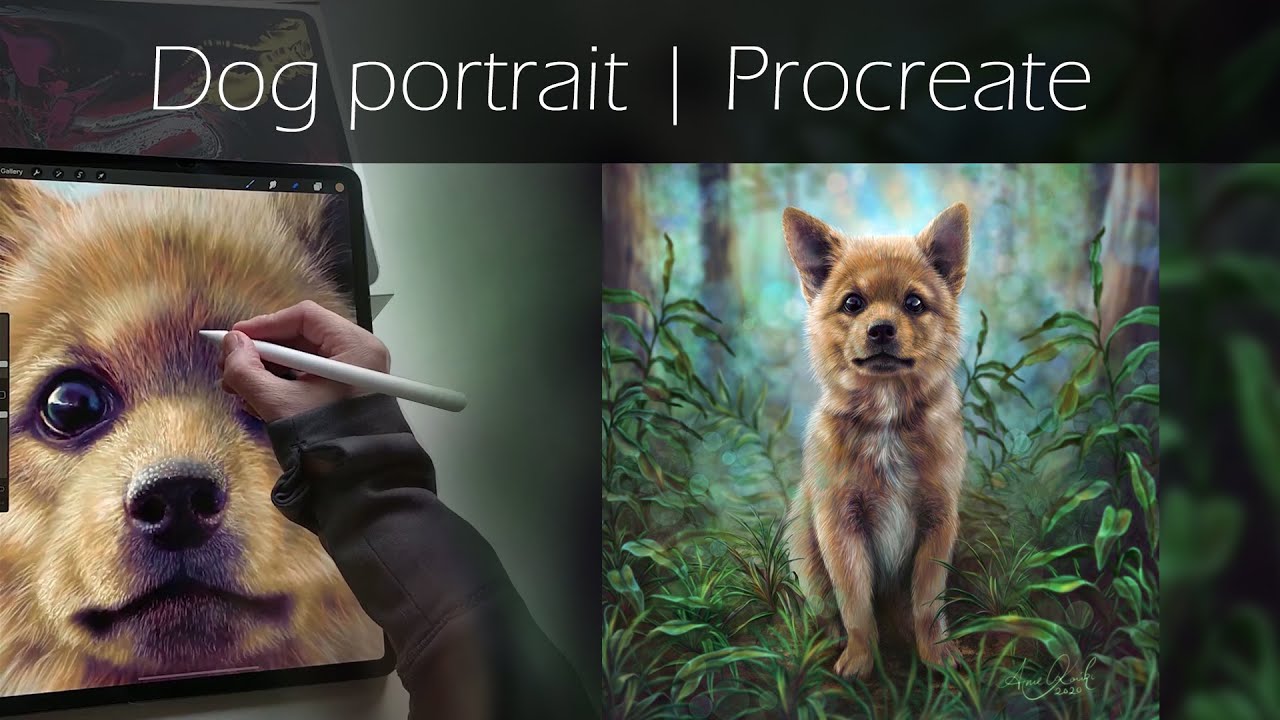 procreate dog portrait procreate dog portrait
