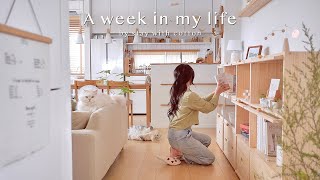 Vlog | จัดตู้ใบใหม่ | แซลมอน & กุ้งดองซีอิ๊ว 🦐 | มะม่วงนมสด🥛| กิจวัตรในหนึ่งสัปดาห์ 📖