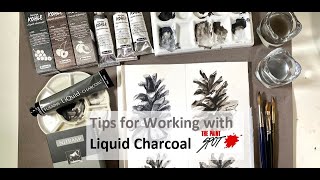 Review of Liquid Charcoals