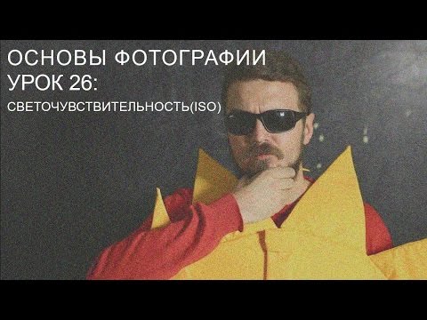 Светочувствительность (ISO). Основы фотографии. Урок 26.