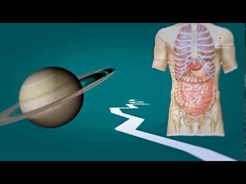 فيديو: لماذا تحتاج الفيزياء
