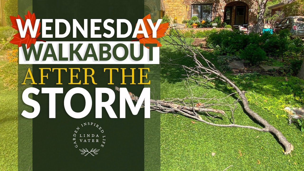Cleaning Up Storm Damage - YouTube