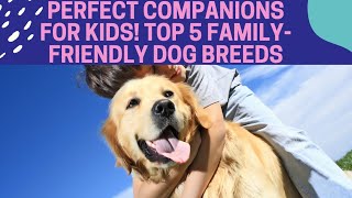 5 Dog Breeds Ideal for Families and Children #dogs #pets #dogbreeds #dogcompanions by Dogs in Facts 114 views 9 months ago 6 minutes, 4 seconds