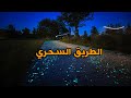 فنون الشوارع بمدينة ايندهوفين 