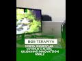 Bos terapiya