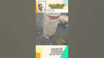 Mẹo bắt cá bằng chai nhựa #fishing #cauca #câucá #fish #caucathugian