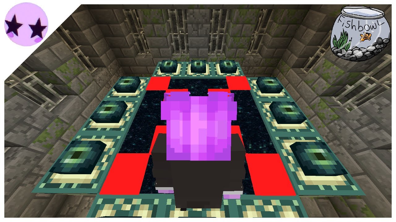 Fishbowl SMP: I Speedran Minecraft (Badly)