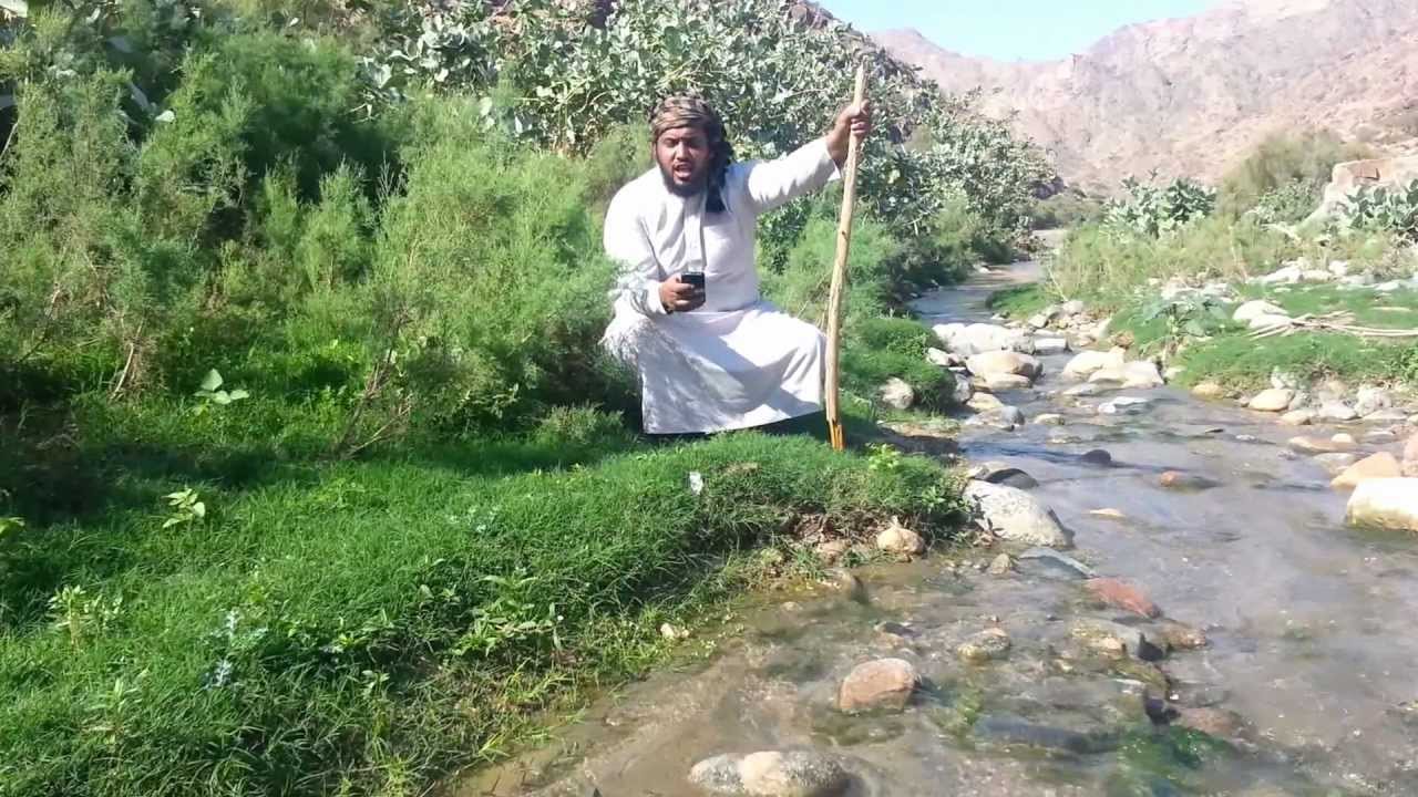 رد الحارثي على قصيدة ناخت ولا ناخ الجمل